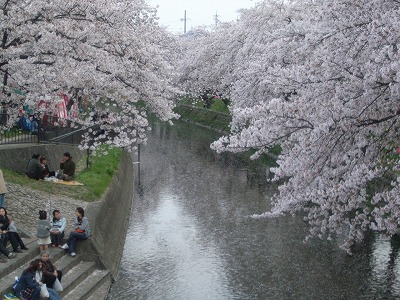 2008-04-05 (Sat) の画像