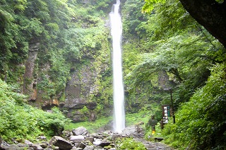 2008-07-27 (Ｓｕｍ) の画像