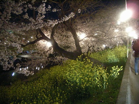 2010-04-03 (Sat) の画像