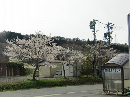 2019-04-28(Sun) の画像